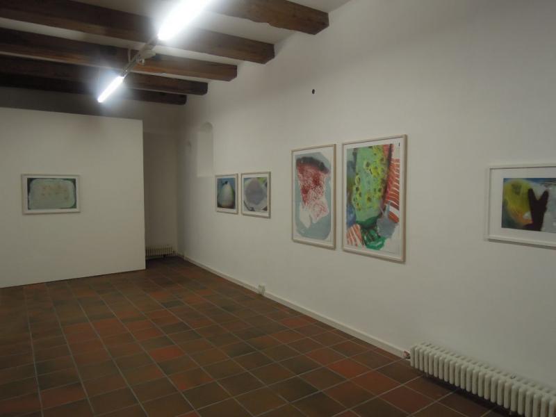 DSCN7853