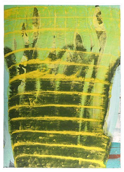 fern